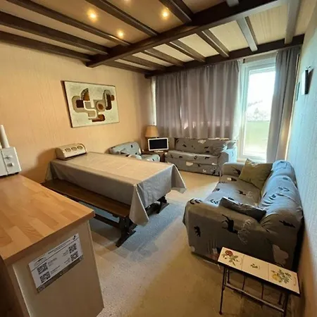 5 Pers A Super Avec Wi-fi - Fr-1-814-94 * Besse-et-Saint-Anastaise